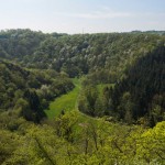 Wundervoll grüner blick ins Nettetal